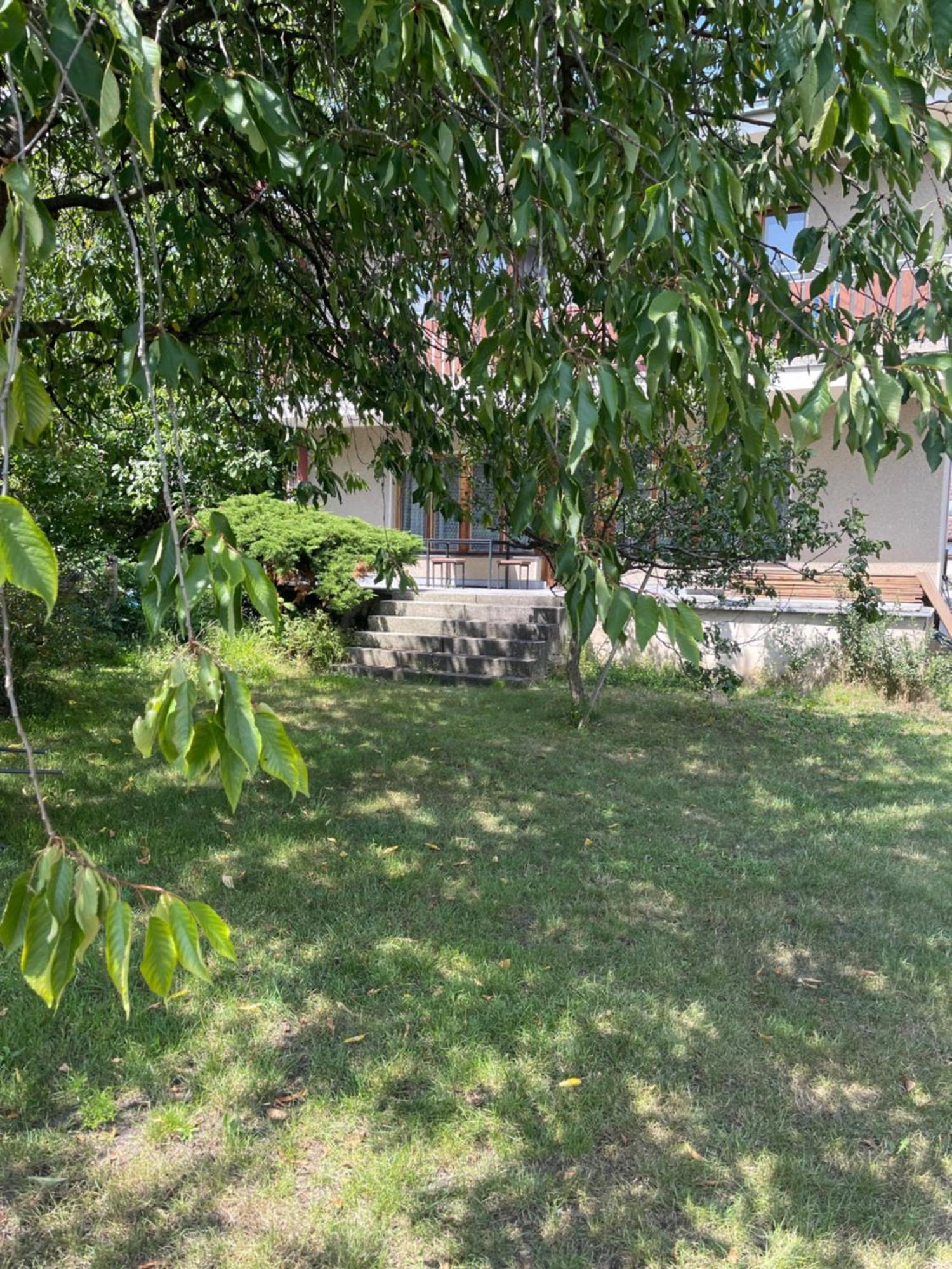 Apartment S Terasou Lysa Lysa nad Labem Luaran gambar