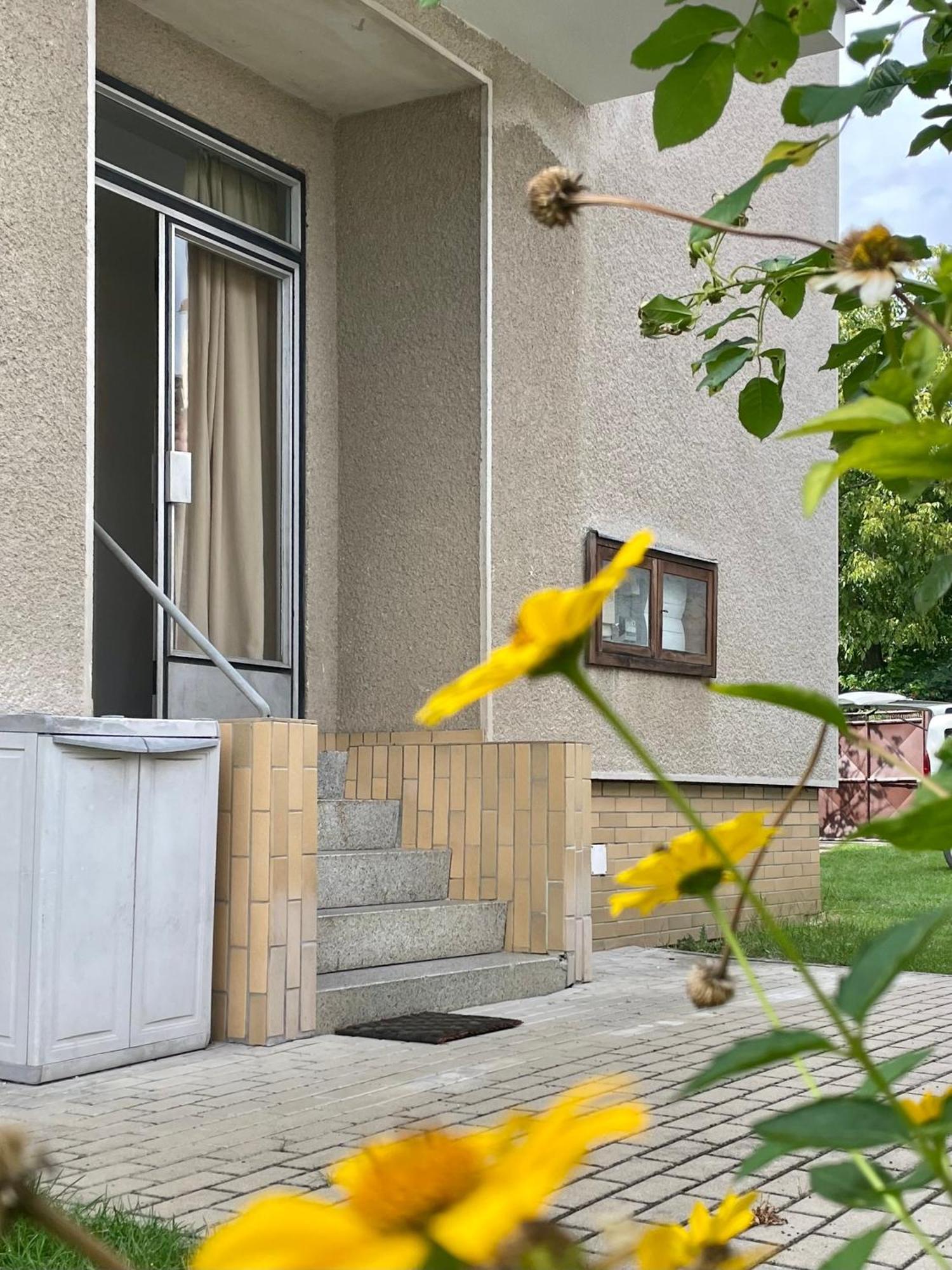 Apartment S Terasou Lysa Lysa nad Labem Luaran gambar