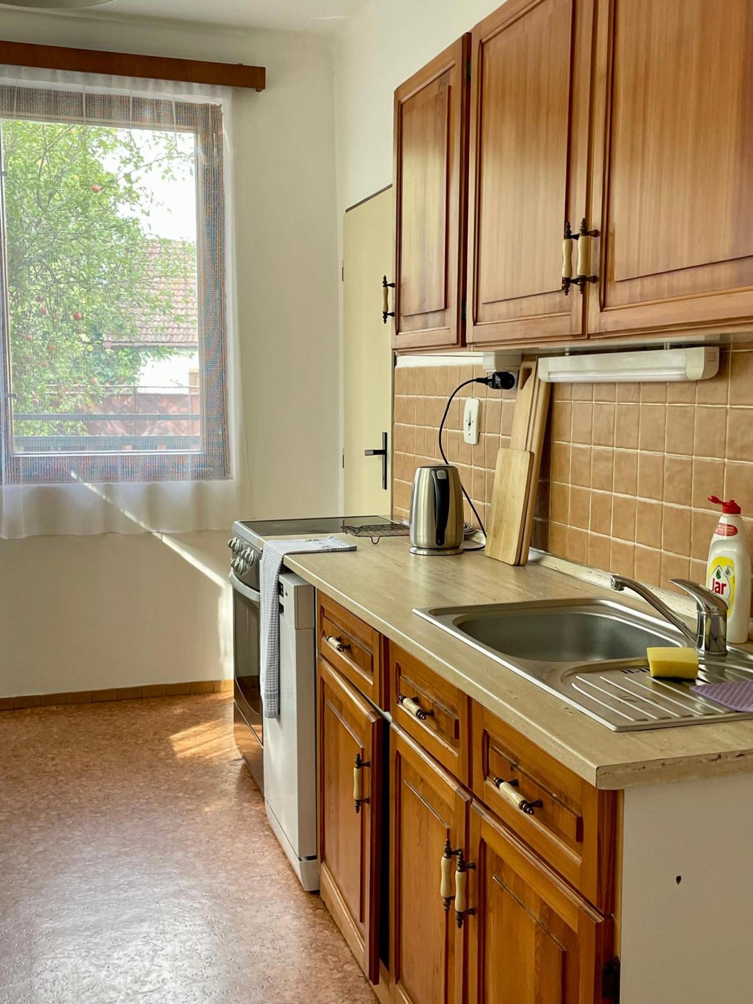 Apartment S Terasou Lysa Lysa nad Labem Luaran gambar